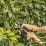 قیچی باغبانی شارژی بوش مدل EasyPrune - تصویر 2
