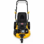 چمن‌زن بنزینی پاورپلاس POWXG60230